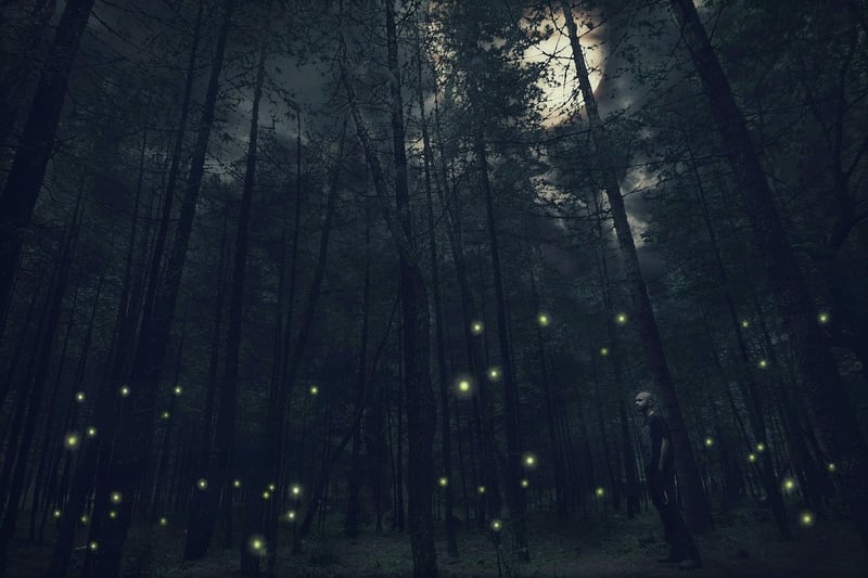 Whispering Woods
