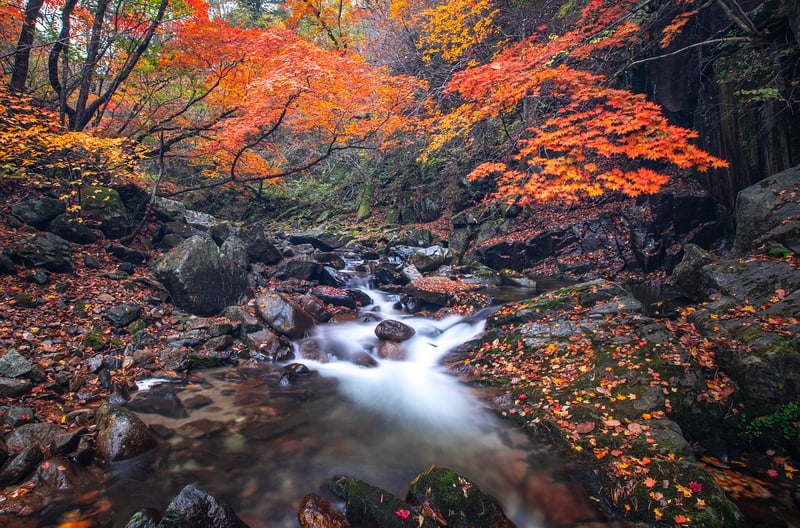 Crystal Stream